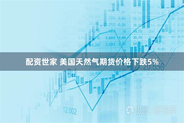 配资世家 美国天然气期货价格下跌5%