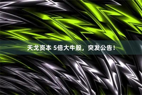 天戈资本 5倍大牛股，突发公告！