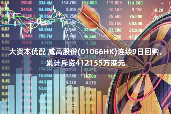 大资本优配 威高股份(01066HK)连续9日回购，累计斥资412155万港元